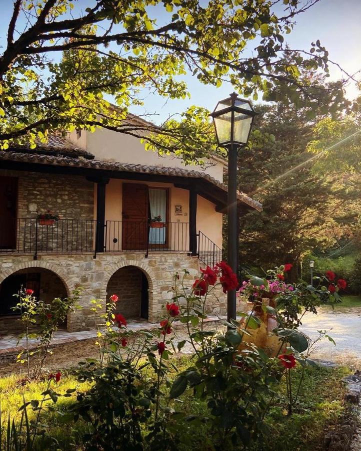 Le Querce Di Assisi Guest House Piano Delle Pieve Exterior photo