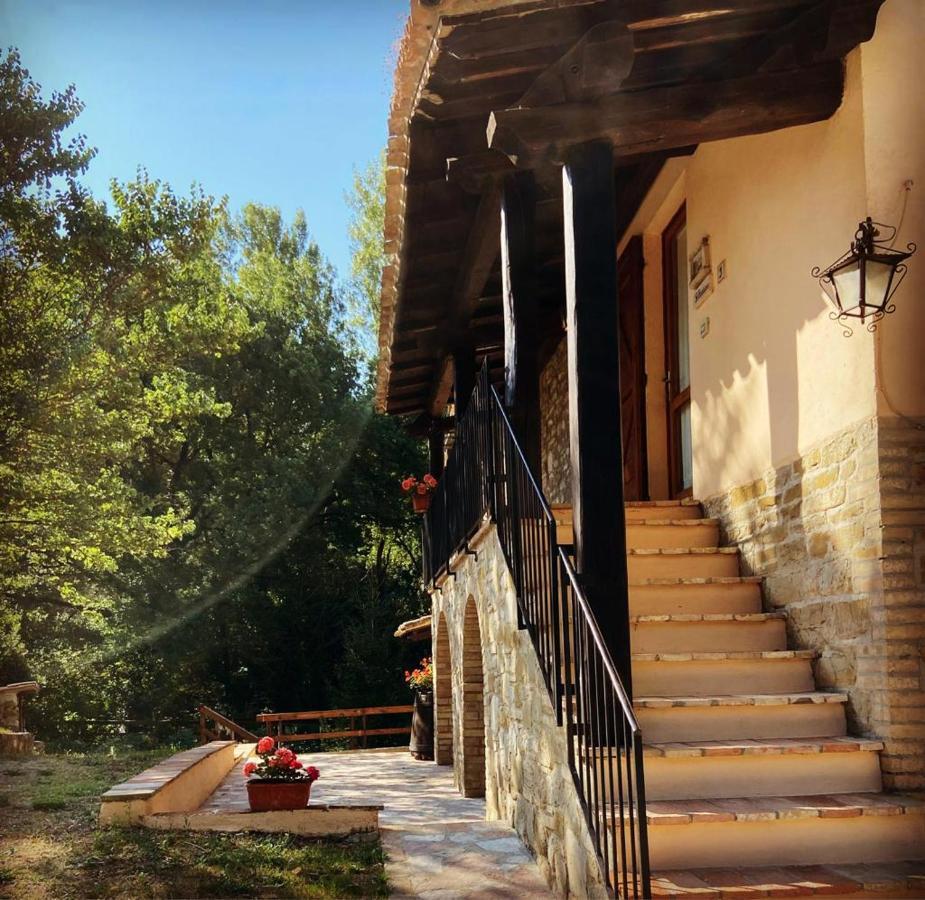 Le Querce Di Assisi Guest House Piano Delle Pieve Exterior photo